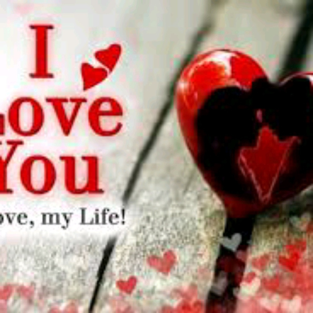 Meet your Posher, Berley